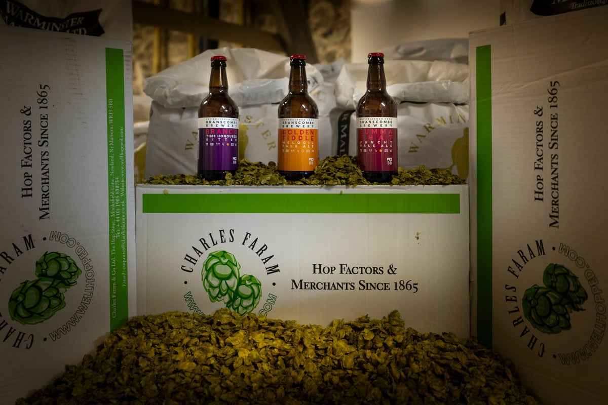 Branscombe Brewery brewery banner image