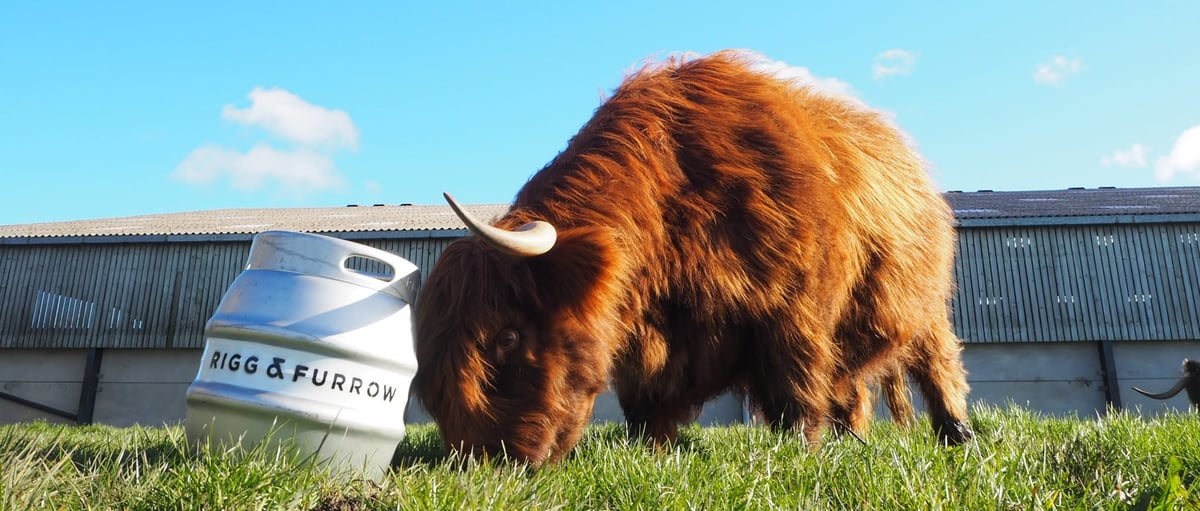 Rigg & Furrow Brewery brewery banner image