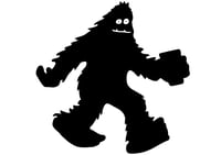 Stay Wild Brewing Co brewery logo