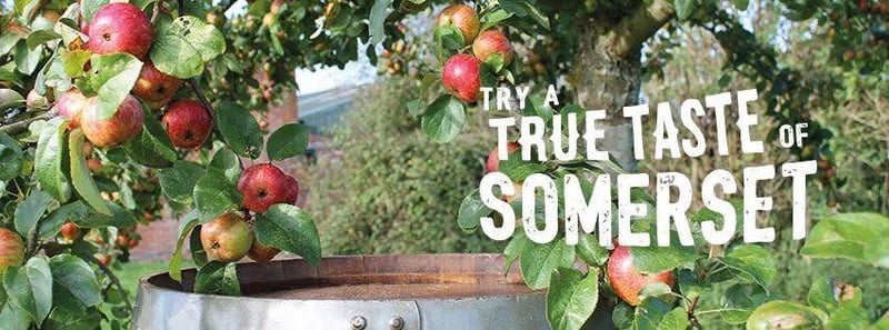 Rich's Cider brewery banner image