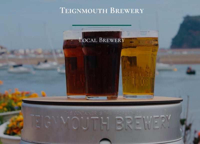 Teignmouth Brewery brewery banner image