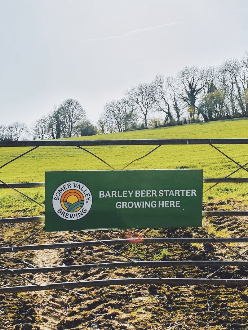 Somer Valley Brewing brewery banner image