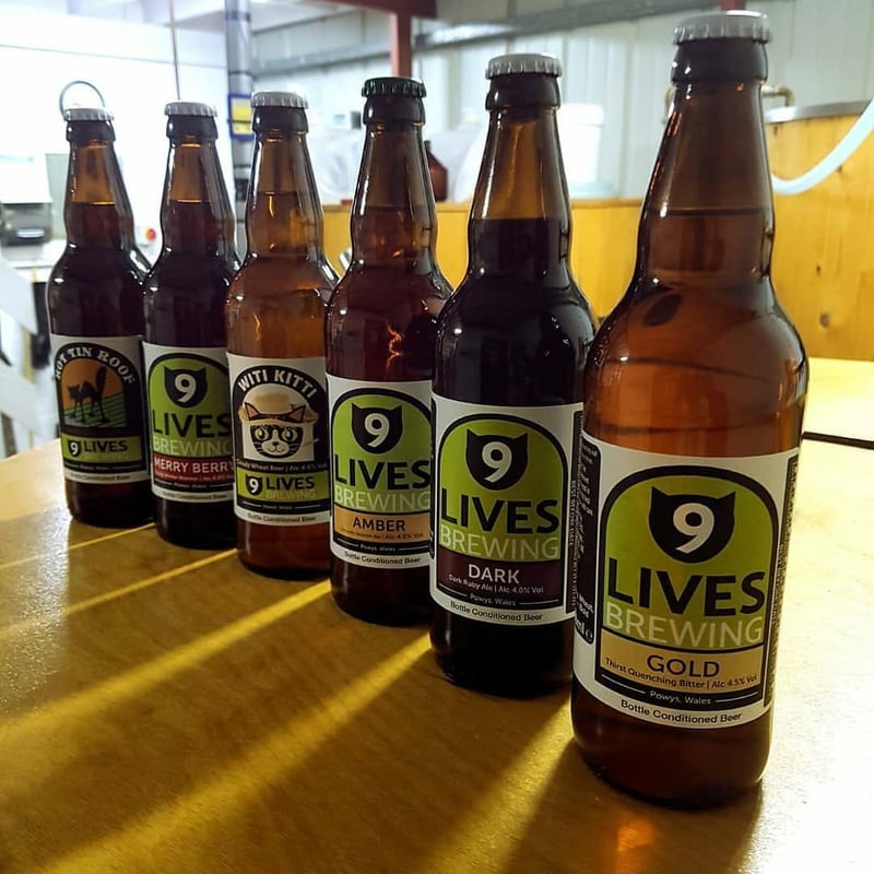 9 Lives Brewing brewery banner image