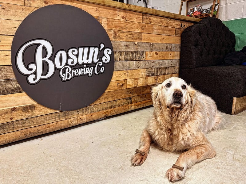 Bosuns Brewing Company brewery banner image